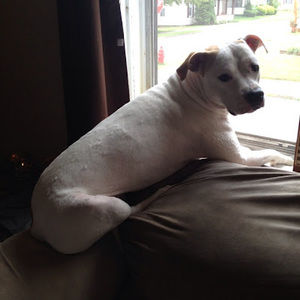 Meet your Posher, Brittany